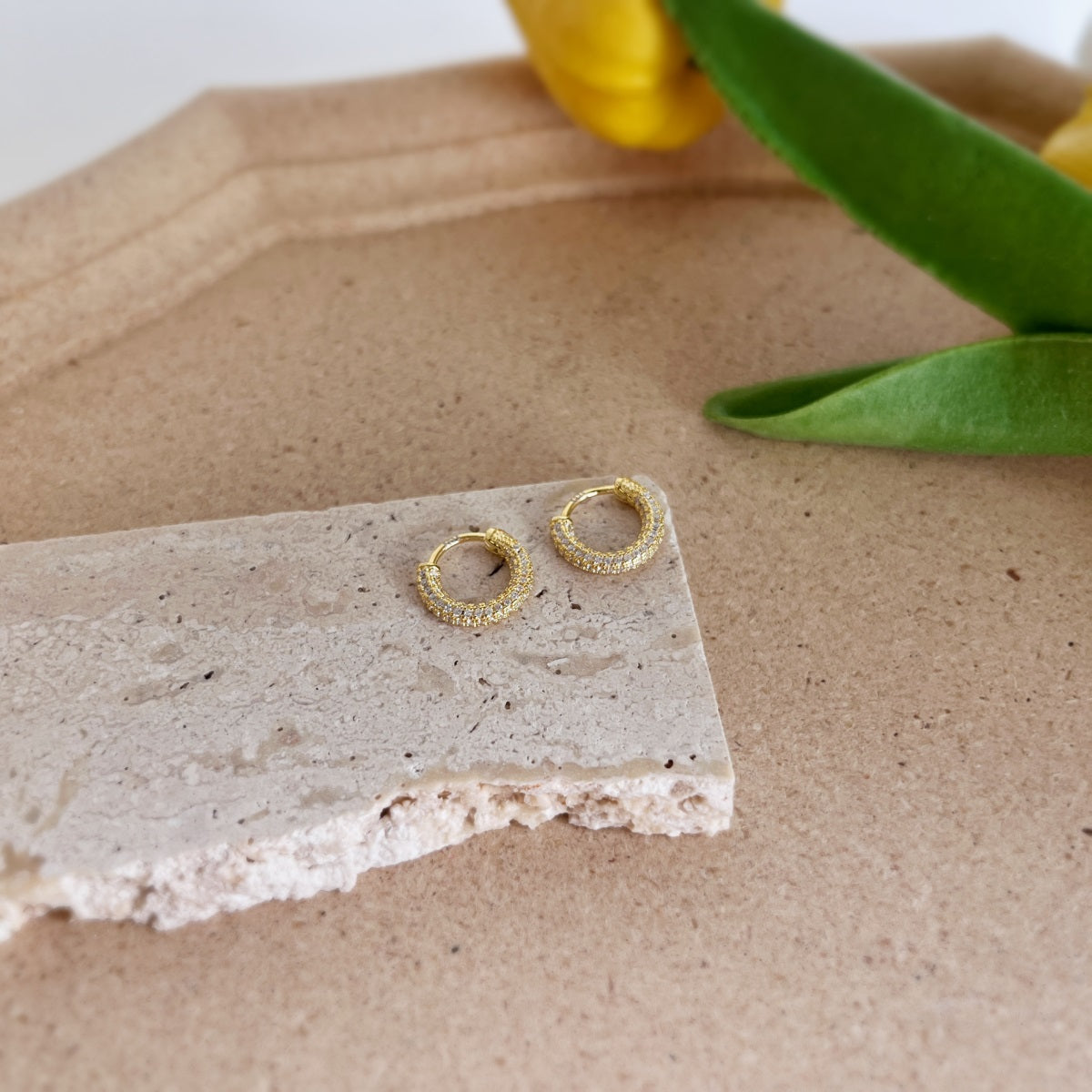 Mini Hoop with Stone Earrings